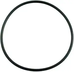 #238 O-Ring For Standard Pool Pump Seals (805-0238) 1