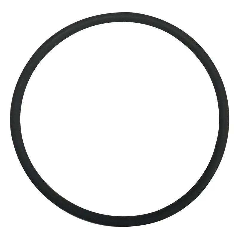 Advance 0V-11-028 Viton Chlorinator O-Ring – Corrosion-Resistant Seal For Sanitization Units 1