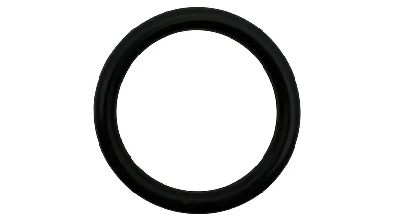Advance Chlorinator O-Ring (0V-11-325) – O-71-Bagged 1