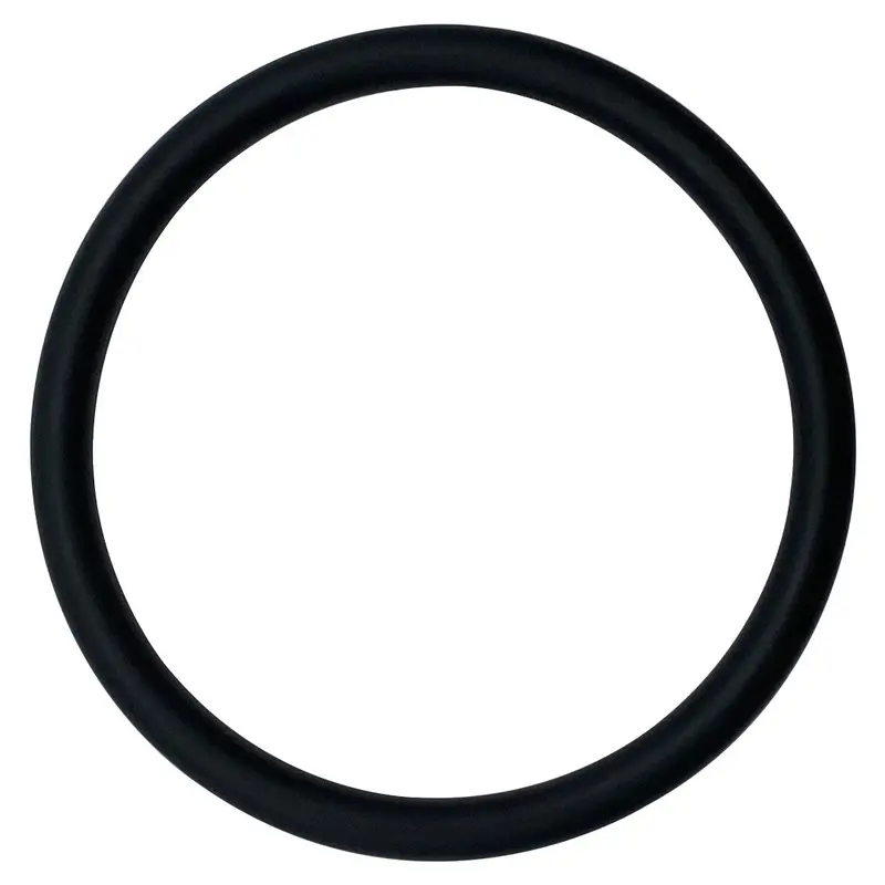 Advance Chlorinator O-Ring (0V-11-332) – O-83-Bagged 1
