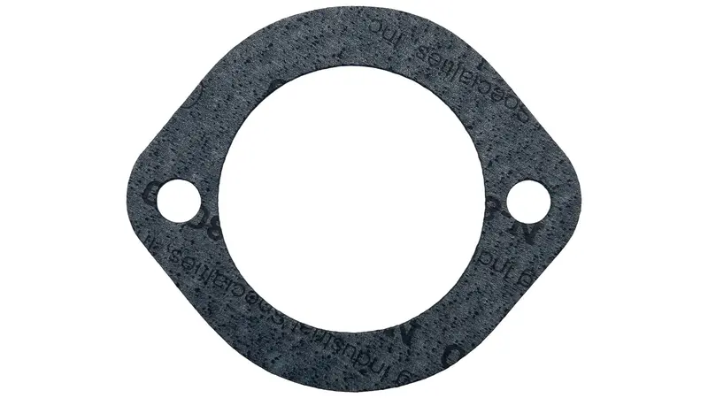 Aladdin G-70 Bagged Gasket 1