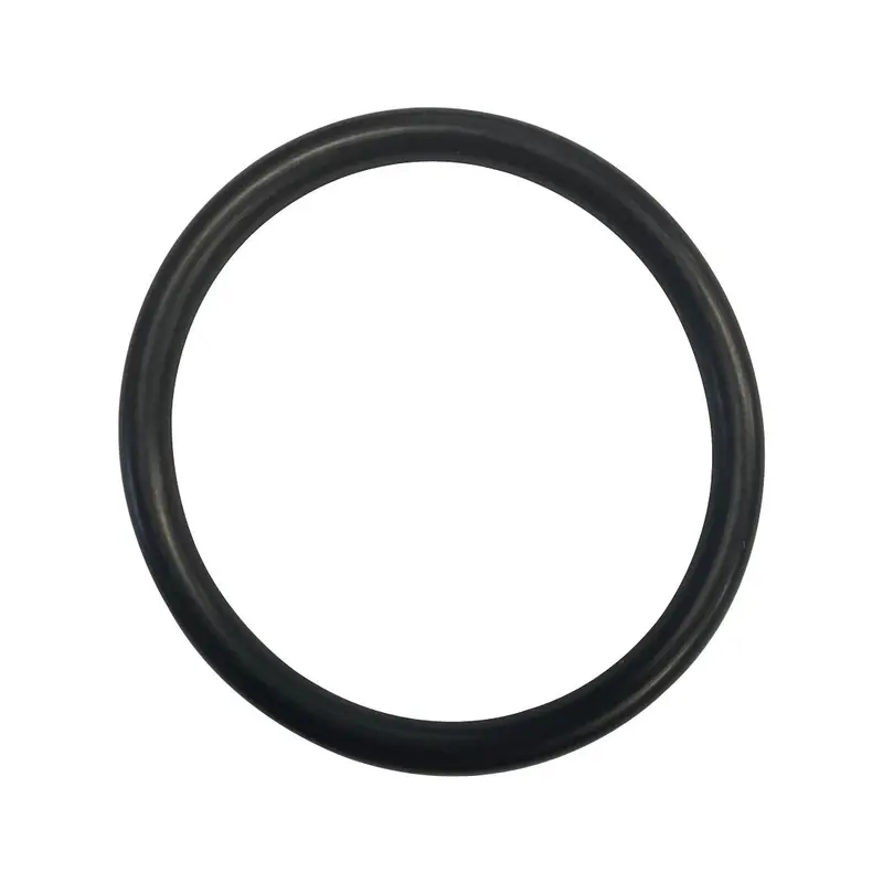 Aladdin O-226 Bagged Gasket 1