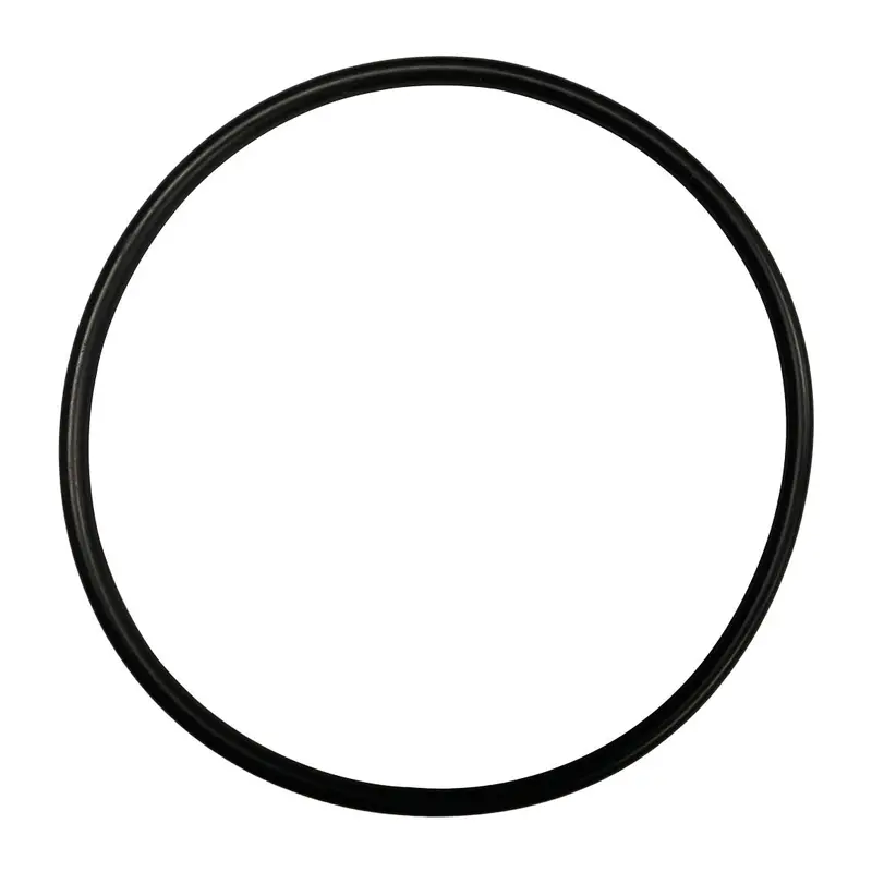 Aladdin O-647 Bagged Gasket 1