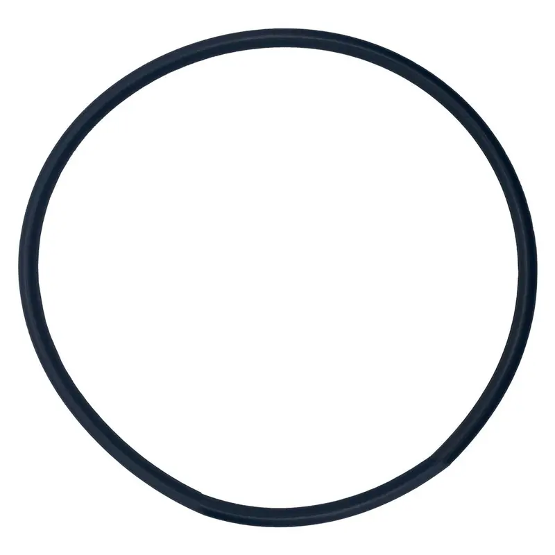 Aqua-Flo 92200020 A/Ac Series 8" Trap Cover O-Ring – O-679-Bagged 1