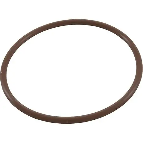 Cmp Powerclean Salt Cell O-Ring – 52000-200-101 1