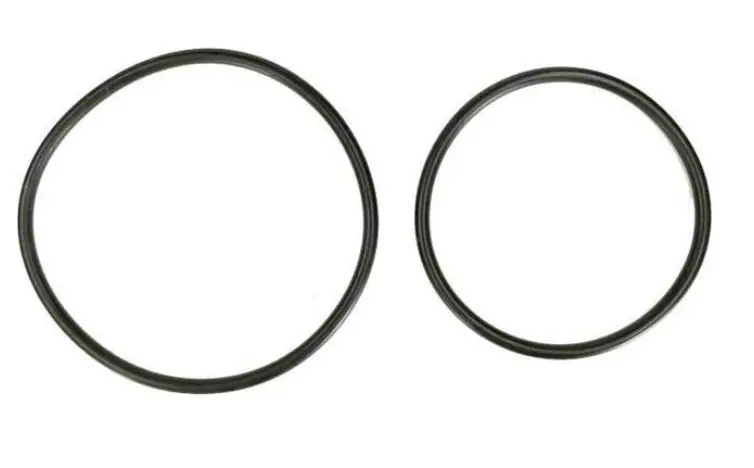 Dex2420Z8A O-Ring Replacement Kit – 2-Piece Set 1