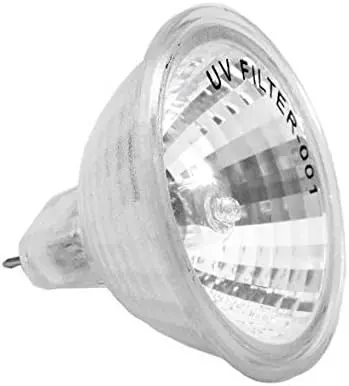 Hayward Replacement Halogen Bulb – 120V, High-Output | Spx0565Z1 1