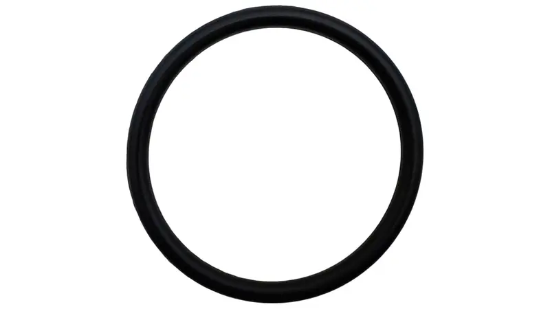 Hayward Spx1483C Diverter Valve O-Ring – Precision-Fit Gasket For Multiport Valves 1