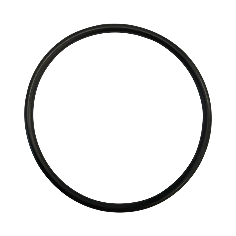 High-Performance O-Ring For Hayward Pumps – Spx0727K 1