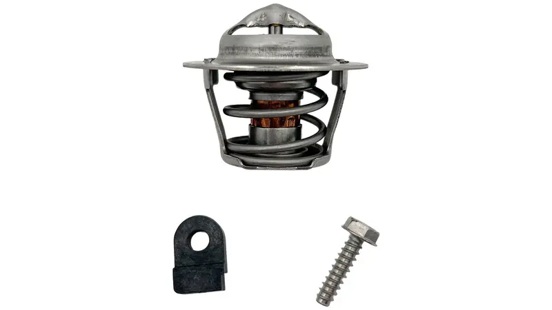Jandy Jxiq Thermal Regulation Valve – Precise 110°F Setpoint, R0589701 1