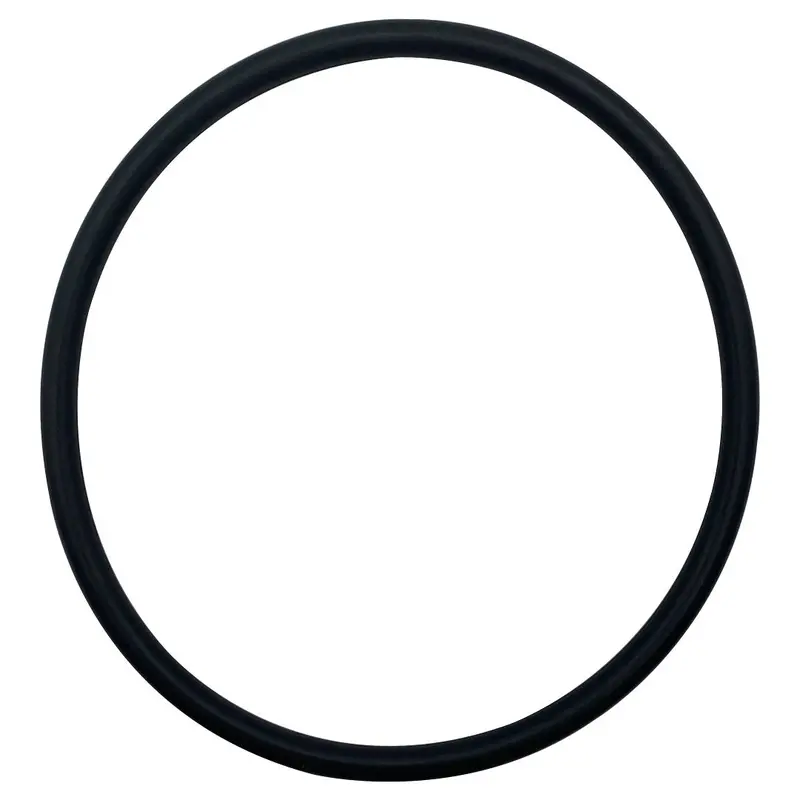 Jandy R0480200 Flopro Lid O-Ring – Replacement Seal For Pool Equipment 1
