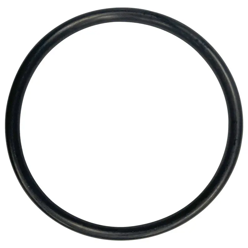 Jandy R0559900/R0446400 Jhp Series Coupling Nut O-Ring – Corrosion-Resistant Seal 1
