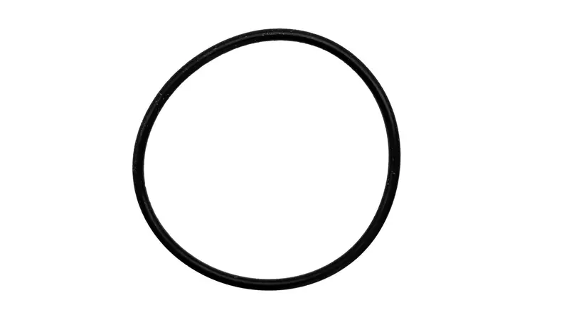 Outlet Elbow O-Ring For Hayward Pro Grid Vertical De Filters (Dex2400Z5) 1