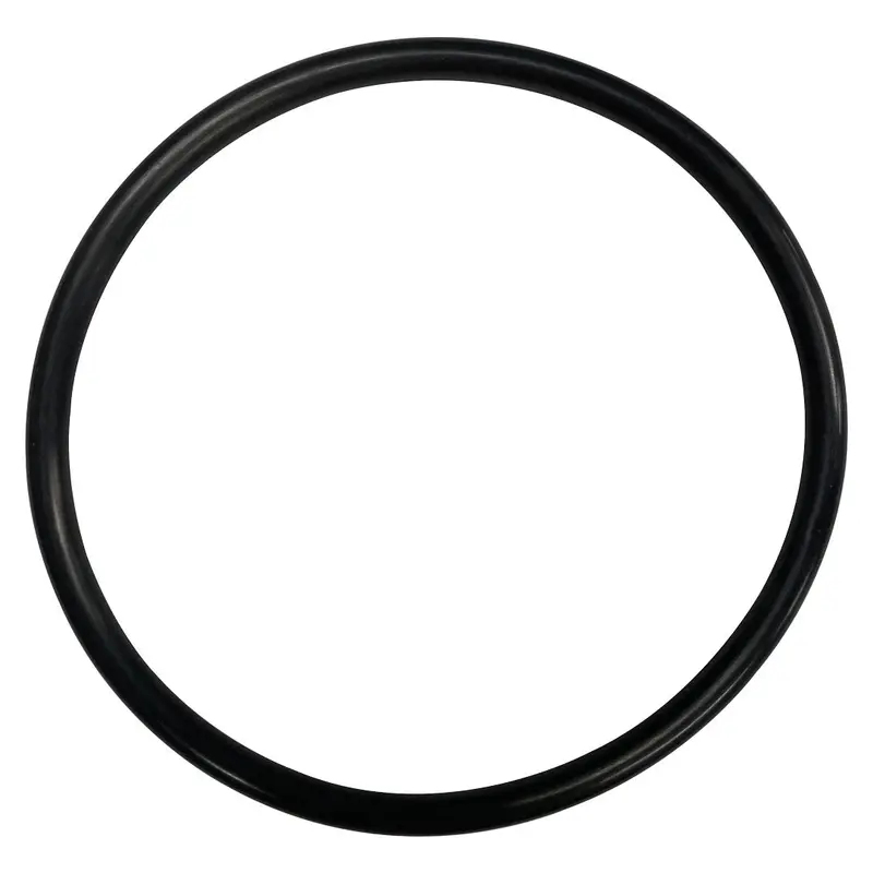 Pac-Fab 154004 Triton C3 Flange O-Ring – Durable Ring Gasket For Filter Systems 1