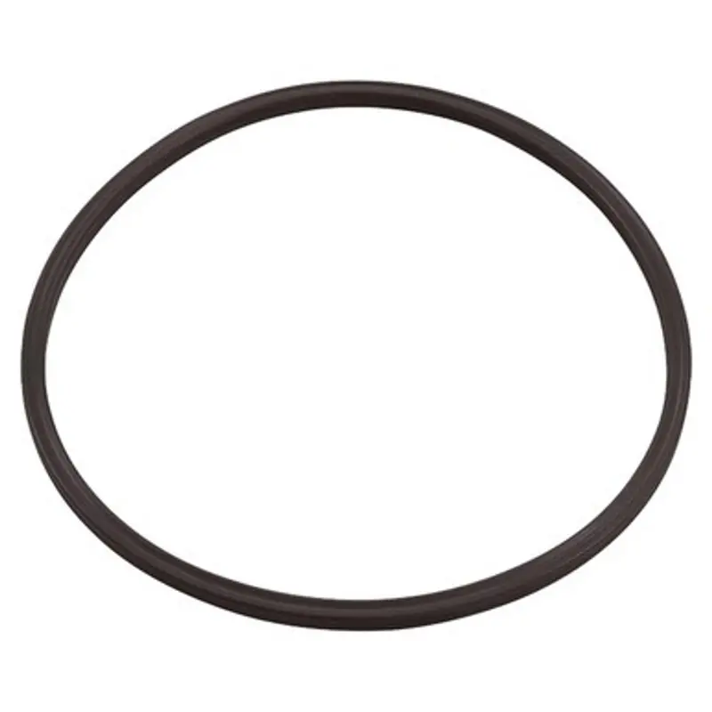 Paramount Clear Canister Lid O-Ring – Oem Replacement (005-152-0120-00) 1