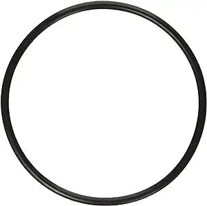 Pentair 272541 O-Ring For Sand Dollar & Hiflow Valve Bodies 1