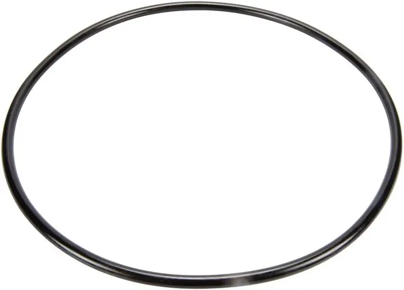 Pentair Easyclean Filter Body O-Ring – Premium Seal For Housing 87300400Z 1