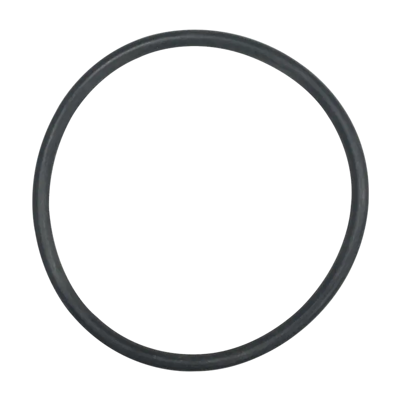 Standard Duty O-Ring For Pool Equipment – Spx0728H 1