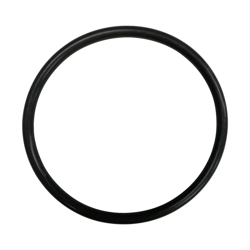 Waterway 805-0340V Off-Line Chlorinator Lid O-Ring – Precision-Fit Pool Chemical Seal 1