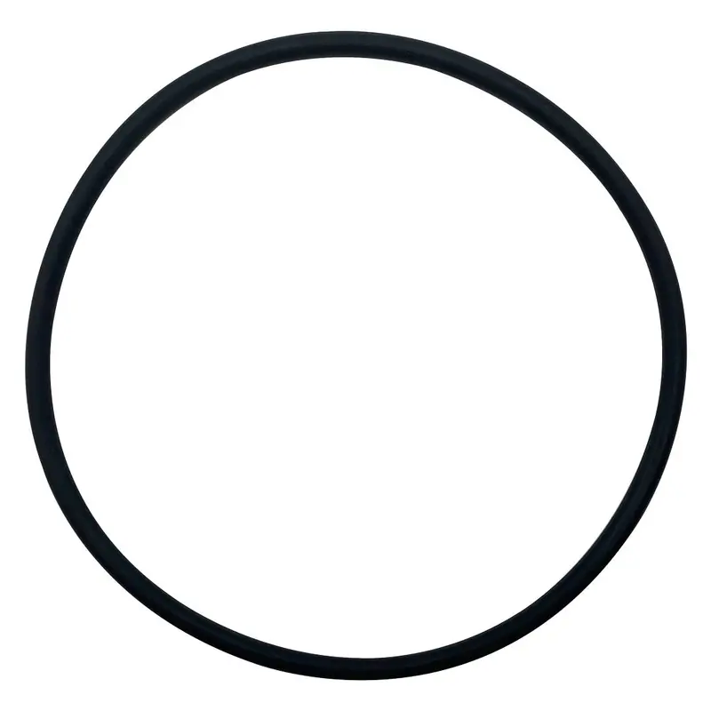 Whisperflo O-359-Bagged Diffuser O-Ring Seal For Hayward Pumps 1