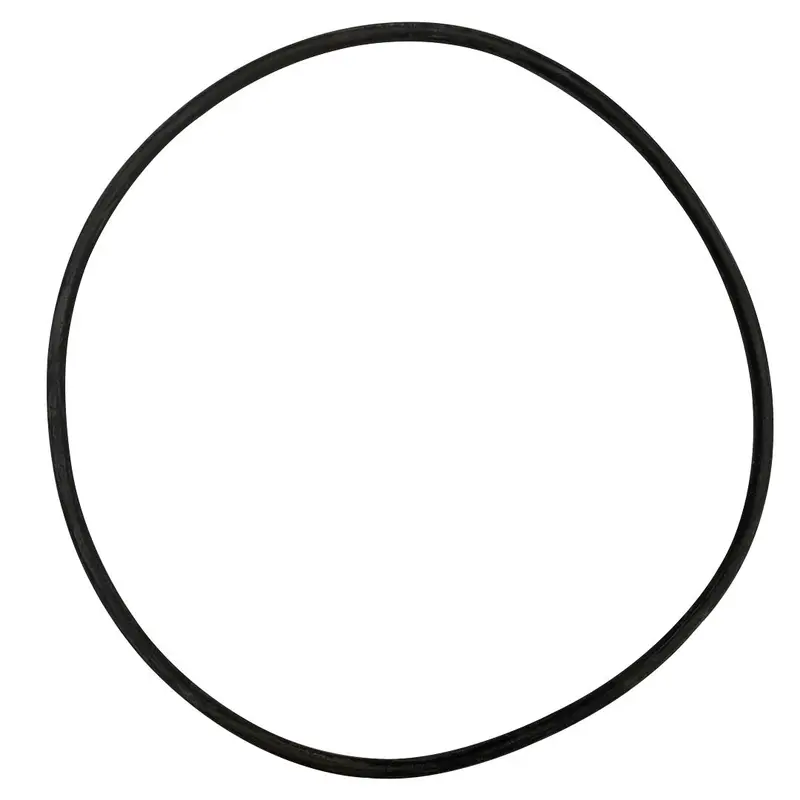 Zodiac Nature2 Cover O-Ring Gasket (Part #17-0061) – O-475-Bagged 1